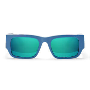 Belle Frog Antarctic Ocean Mirror