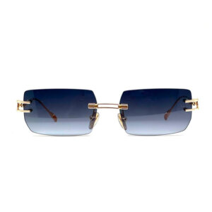 TATTVA RION SG GUN