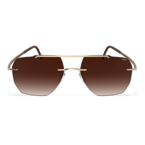 Silhouette 8746 7620