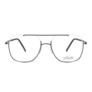 Silhouette Dynamics Dawn