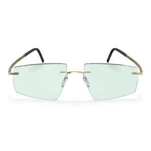 Silhouette 8747 8540