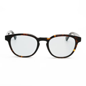 Belle Frog Andy Warhol